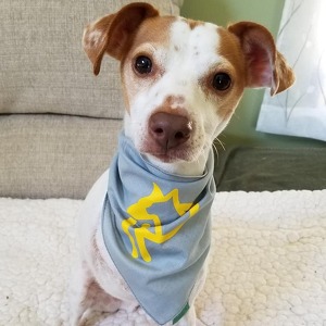 Fundraising Page: Sharon Goodspeed